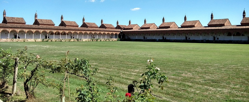 pavia-online.net